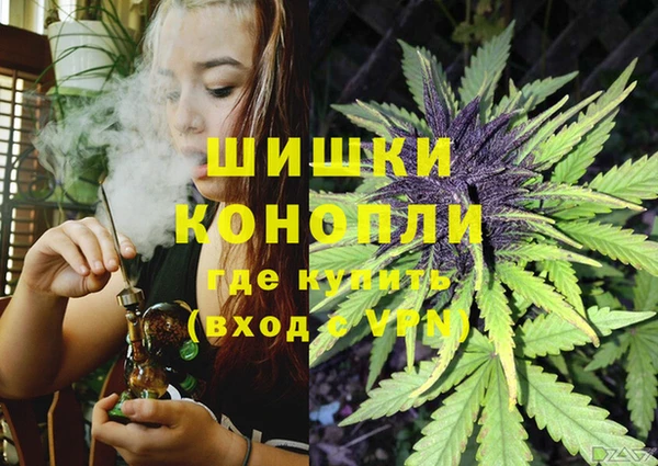 ешки Горнозаводск