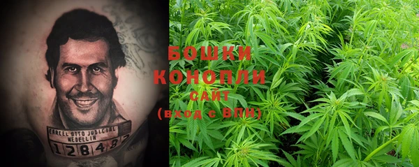 дживик Горняк