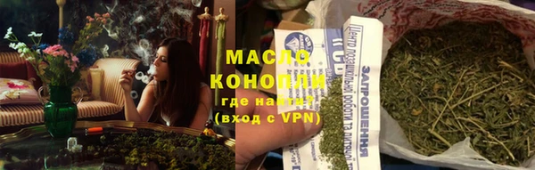 дживик Горняк
