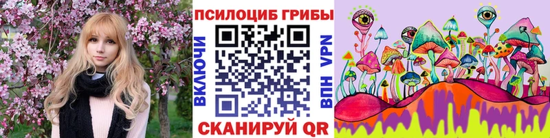 Купить  Полярные Зори  Псилоцибиновые грибы Cubensis 