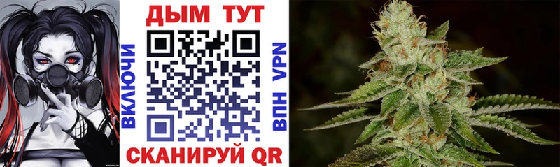 Бошки Шишки гибрид  Купить закладки  Полярные Зори 